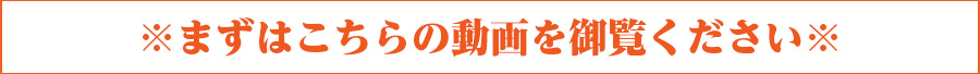 まずはこちらの動画を御覧ください